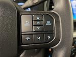New 2025 Ford F-250 XLT Regular Cab 4x4 Plow Truck for sale #SC7853 - photo 15
