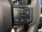 2025 Ford F-250 Regular Cab 4x4 Plow Truck for sale #SC7856 - photo 15
