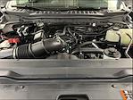 New 2025 Ford F-250 XLT Regular Cab 4x4 Plow Truck for sale #SC7860 - photo 28