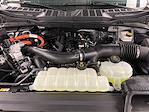 2025 Ford F-150 SuperCrew Cab 4x4 Pickup for sale #SR3495 - photo 41