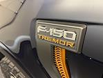 2025 Ford F-150 SuperCrew Cab 4x4 Pickup for sale #SR3780 - photo 39