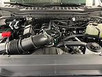 2025 Ford F-250 Crew Cab 4x4 Pickup for sale #SR3835 - photo 33