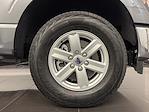 New 2025 Ford F-150 XL Regular Cab 4x4 Pickup for sale #SR4225 - photo 7