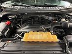 2015 Ford F-150 Super Cab 4WD Pickup for sale #SR4531B - photo 42
