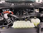 New 2025 Ford F-150 XLT SuperCrew Cab 4WD Pickup for sale #SR4666 - photo 41