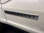 New 2025 Ford F-150 Platinum SuperCrew Cab for sale #SR4732 - photo 40