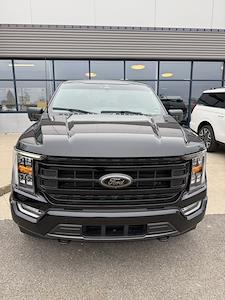 Used 2023 Ford F-150 - photo 1