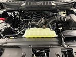 2026 Ford F-150 SuperCrew Cab 4WD Pickup for sale #TR5098 - photo 47
