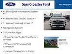 2020 Ford F-250 Crew Cab 4x4 Pickup for sale #32250854A - photo 12