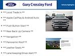 2020 Ford F-250 Crew Cab 4x4 Pickup for sale #32250854A - photo 6