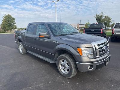 2010 Ford F-150 SuperCrew Cab 4WD Pickup for sale #32251050B - photo 1