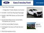 2025 Ford F-150 SuperCrew Cab 4WD Pickup for sale #32251136 - photo 31