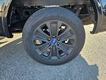 2019 Ford F-150 SuperCrew Cab 4WD Pickup for sale #32251499A - photo 9