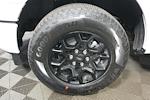 New 2026 Ford F-150 XLT SuperCrew Cab for sale #32260256 - photo 10