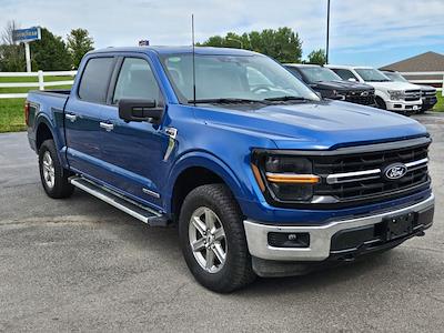 2024 Ford F-150 SuperCrew Cab 4x4 Pickup for sale #32P44336 - photo 1