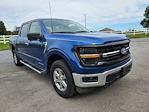2024 Ford F-150 SuperCrew Cab 4x4 Pickup for sale #32P44336 - photo 3