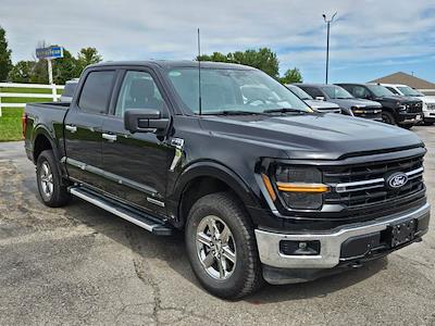 2024 Ford F-150 SuperCrew Cab 4x4 Pickup for sale #32P44337 - photo 1