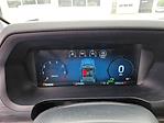 2024 Ford F-150 SuperCrew Cab 4x4 Pickup for sale #32P44337 - photo 19
