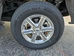 2024 Ford F-150 SuperCrew Cab 4WD Pickup for sale #32P44417 - photo 9