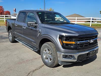 2024 Ford F-150 SuperCrew Cab 4WD Pickup for sale #32P44418 - photo 1
