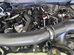 2024 Ford F-150 SuperCrew Cab 4x2 Pickup for sale #RKF30144 - photo 20