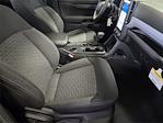 New 2024 Ford Ranger XL SuperCrew Cab Pickup for sale #RLE71953 - photo 8
