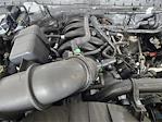 2025 Ford F-250 Regular Cab 4x2 Pickup for sale #SEC87812 - photo 19