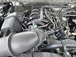 2025 Ford F-250 Regular Cab 4x2 Pickup for sale #SED08698 - photo 22