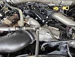 2017 Ford F-250 Crew Cab RWD Pickup for sale #SEE08638A - photo 32