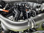 2025 Ford F-150 SuperCrew Cab 4x4 Pickup for sale #SFA20254 - photo 19