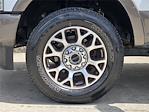 2022 Ford F-250 Crew Cab 4x4 Pickup for sale #SFA35804A - photo 10