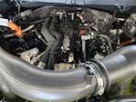 2025 Ford F-150 SuperCrew Cab 4x4 Pickup for sale #SFA65521 - photo 19