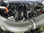 2025 Ford F-150 SuperCrew Cab 4x4 Pickup for sale #SFA67632 - photo 19