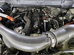 New 2025 Ford F-150 XLT SuperCrew Cab 4x4 Pickup for sale #SFA70268 - photo 22