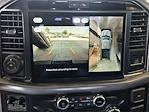 New 2025 Ford F-150 XLT SuperCrew Cab 4x4 Pickup for sale #SFA91797 - photo 10