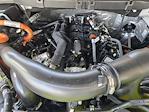 2025 Ford F-150 SuperCrew Cab 4x4 Pickup for sale #SFB00520 - photo 19