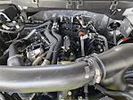 New 2025 Ford F-150 Tremor SuperCrew Cab 4x4 Pickup for sale #SFB39007 - photo 22
