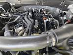 New 2025 Ford F-150 Tremor SuperCrew Cab 4x4 Pickup for sale #SFB39007 - photo 31