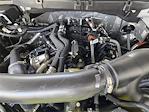 New 2025 Ford F-150 Tremor SuperCrew Cab 4x4 Pickup for sale #SFB39007 - photo 49