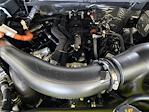 2025 Ford F-150 SuperCrew Cab 4WD Pickup for sale #SFC22953 - photo 22
