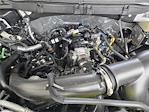 2025 Ford F-150 Regular Cab 4x4 Pickup for sale #SKD24362 - photo 19