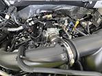 2025 Ford F-150 SuperCrew Cab 4x2 Pickup for sale #SKD24453 - photo 19