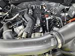 2025 Ford F-150 SuperCrew Cab 4x4 Pickup for sale #SKD25909 - photo 19