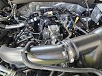 2025 Ford F-150 SuperCrew Cab 4x2 Pickup for sale #SKD30326 - photo 19