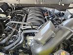 2025 Ford F-150 SuperCrew Cab 4x2 Pickup for sale #SKD53221 - photo 19