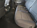 2025 Ford F-150 SuperCrew Cab 4x2 Pickup for sale #SKD62040 - photo 18