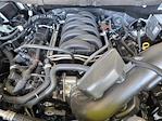 2025 Ford F-150 SuperCrew Cab 4x2 Pickup for sale #SKD62040 - photo 19
