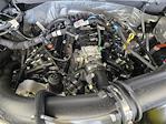 2025 Ford F-150 SuperCrew Cab 4x2 Pickup for sale #SKE28334 - photo 19