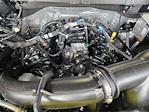 New 2025 Ford F-150 XLT SuperCrew Cab Pickup for sale #SKE29822 - photo 22