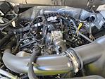 2025 Ford F-150 SuperCrew Cab RWD Pickup for sale #SKF40179 - photo 22